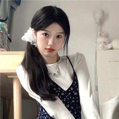 清潭花火 海报